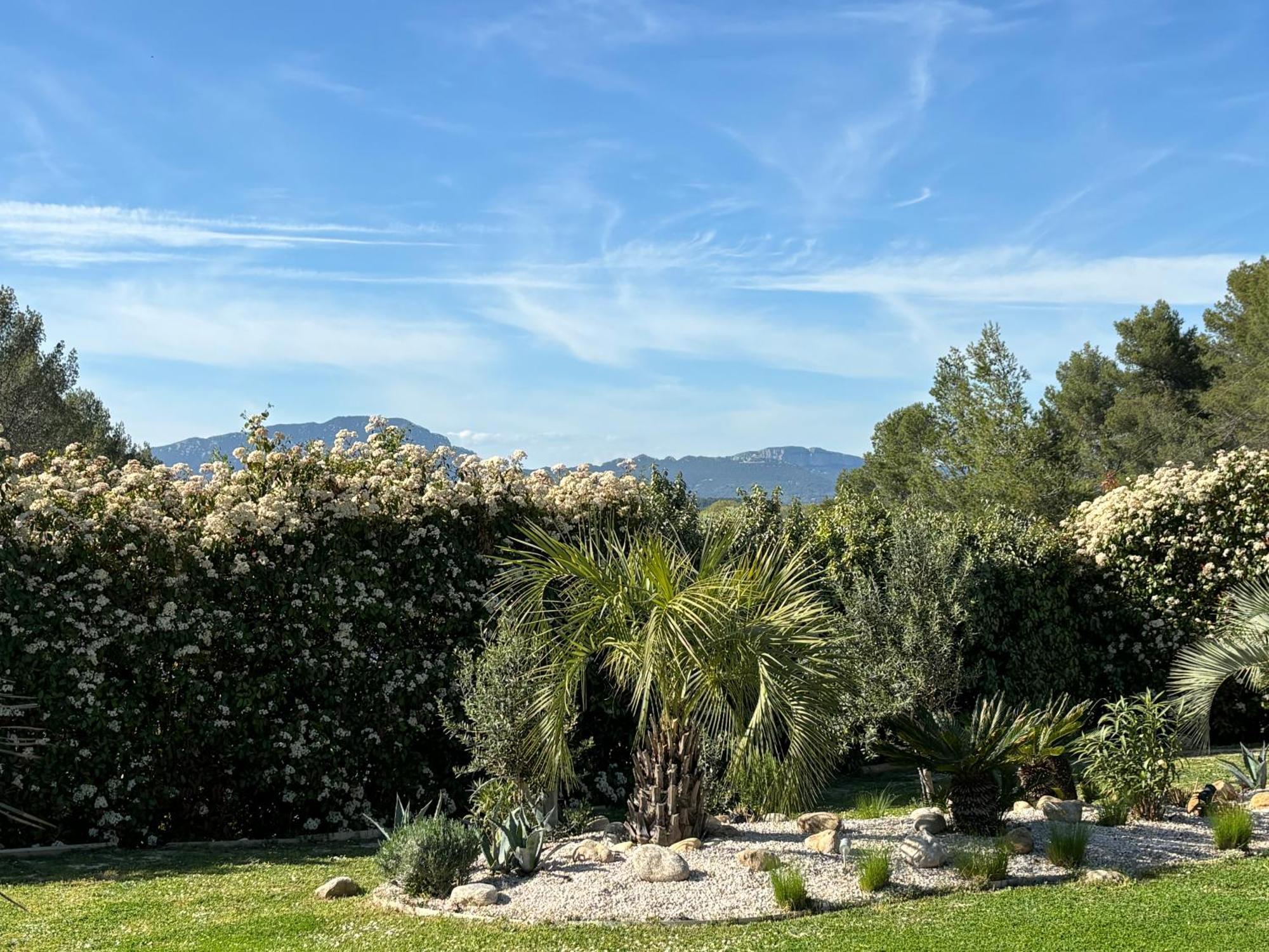 Joli Havre De Paix Villa Prades-le-Lez Luaran gambar